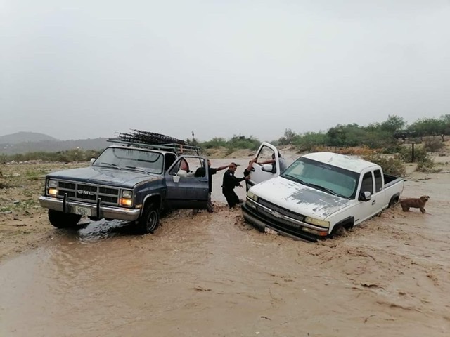 Policías rescatan a civiles y mascota del arroyo