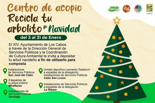 Centro de acopio de árboles navideños