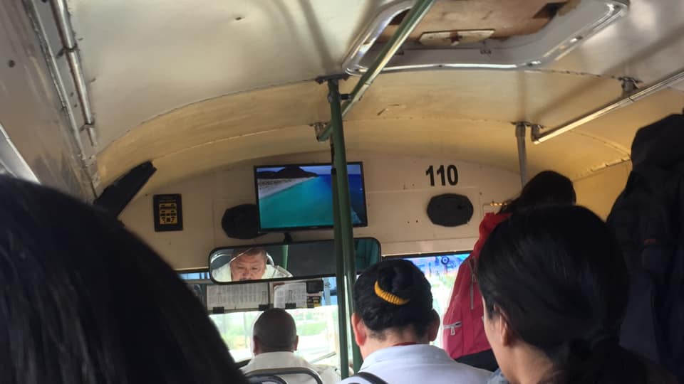 Pecero con televisión